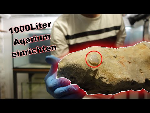 Ein 1000 Liter Aquarium entsteht | Teil 3 - Einrichtung & Befüllung