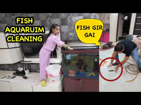 2 Fish Marr Gai Hamari 😭