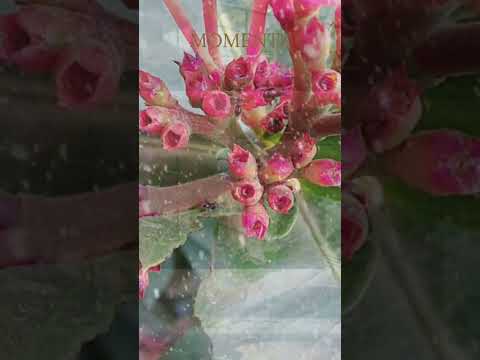 Moments #natural #beach