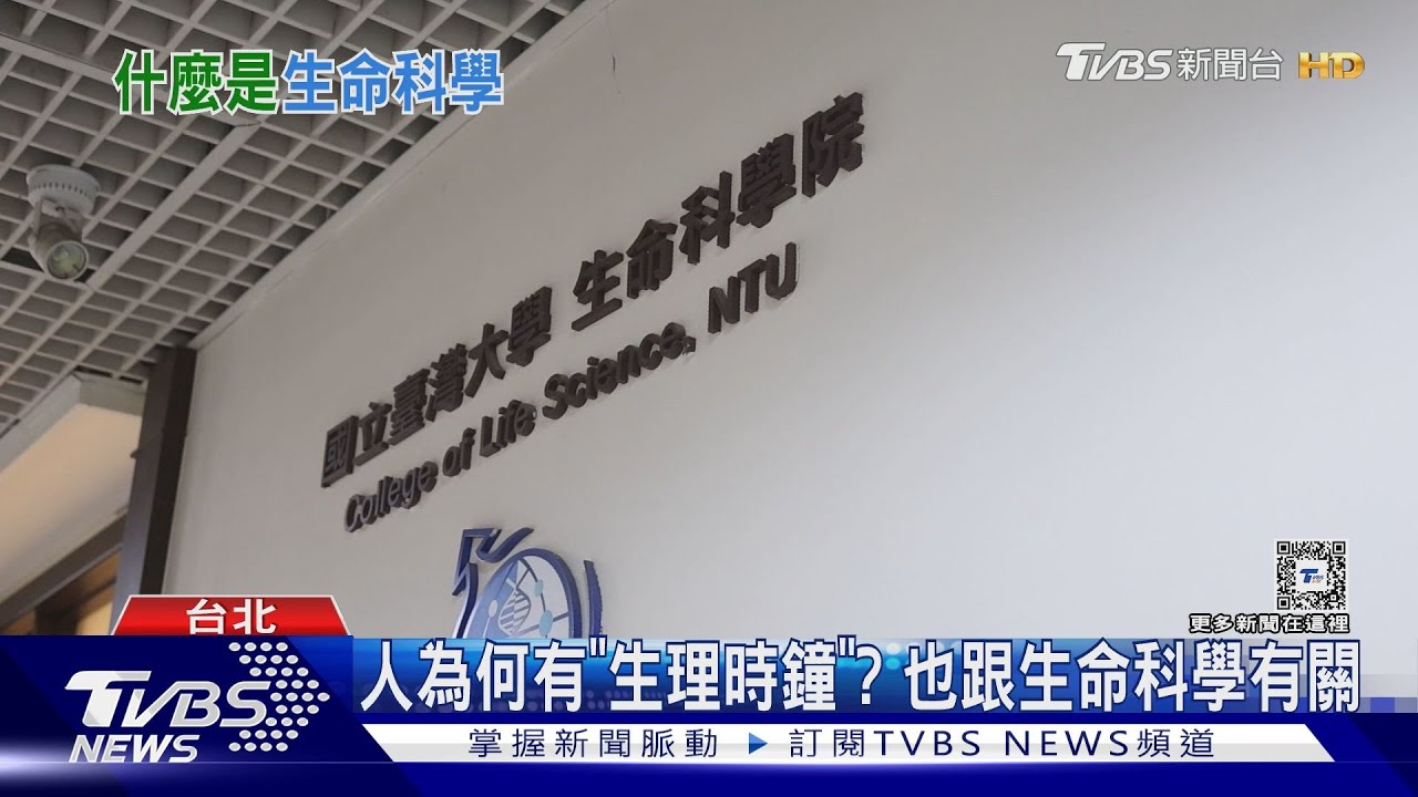 別再學電腦了! NVIDIA黃仁勳建議去讀「生命科學」