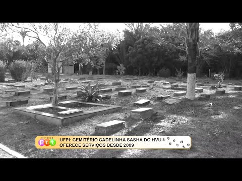 Cemitério Cadelinha Sasha do HVU oferece serviços desde 2009 17 10 2022