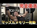 マッスルメモリー発動!!完全復活のフルパワートレーニング!!!