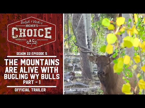 2022 Archer’s Choice – The Mountains are alive with bugling WY bulls  – part 1 – Episode 4 – Trailer