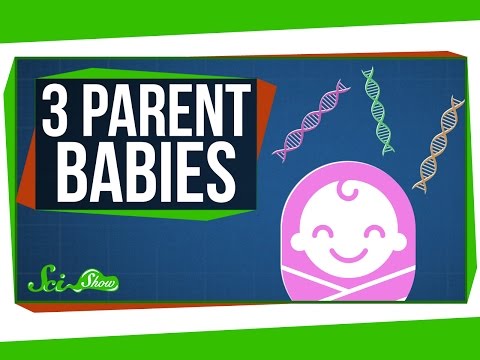 有三個父母的嬰兒 (Babies With Three Parents)