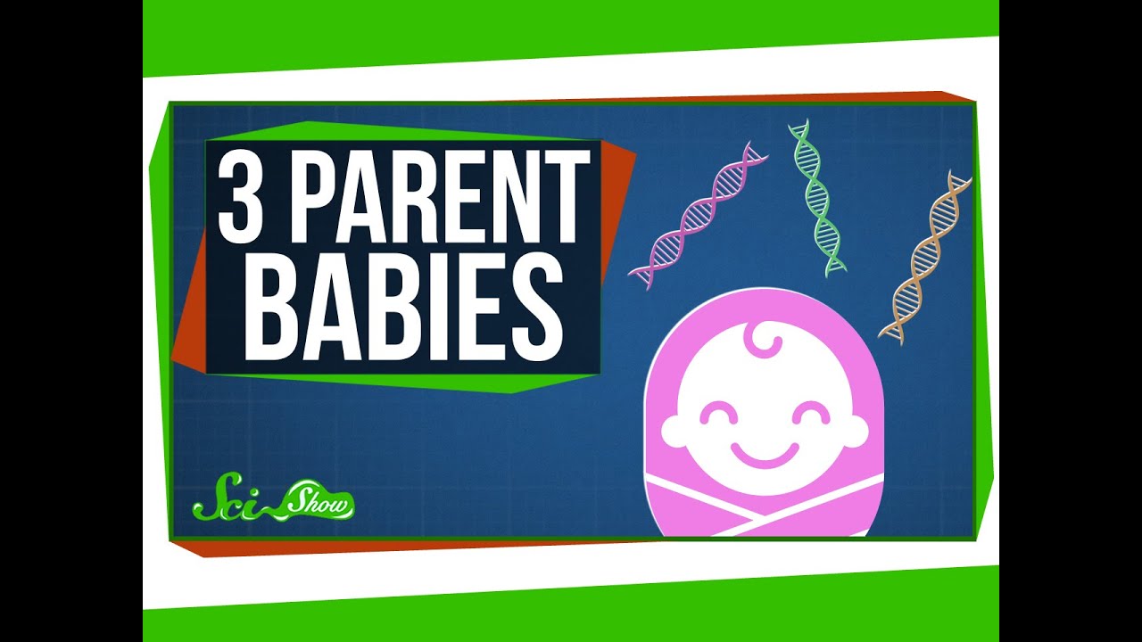 Babies With Three Parents