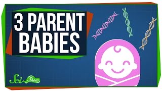 Babies With Three Parents