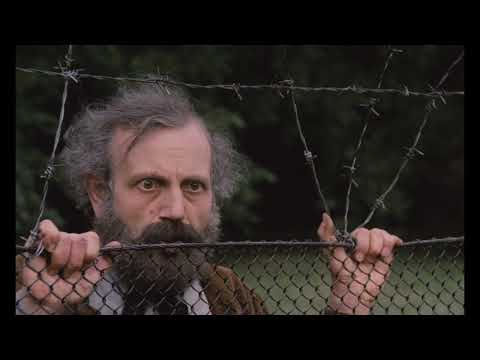 Трейлер