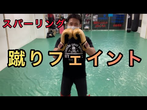 スパーリングで使える 蹴りフェイント ローキック、ハイキック、ストレート