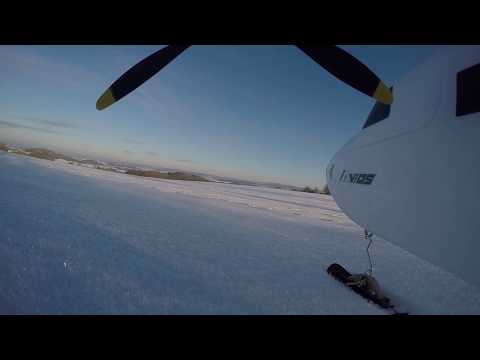 avios-bush-mule-on-skis
