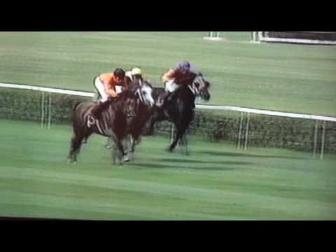 Nagroda Janowa - 5.07.1997 - Druid  (Wojsław - Dalida)