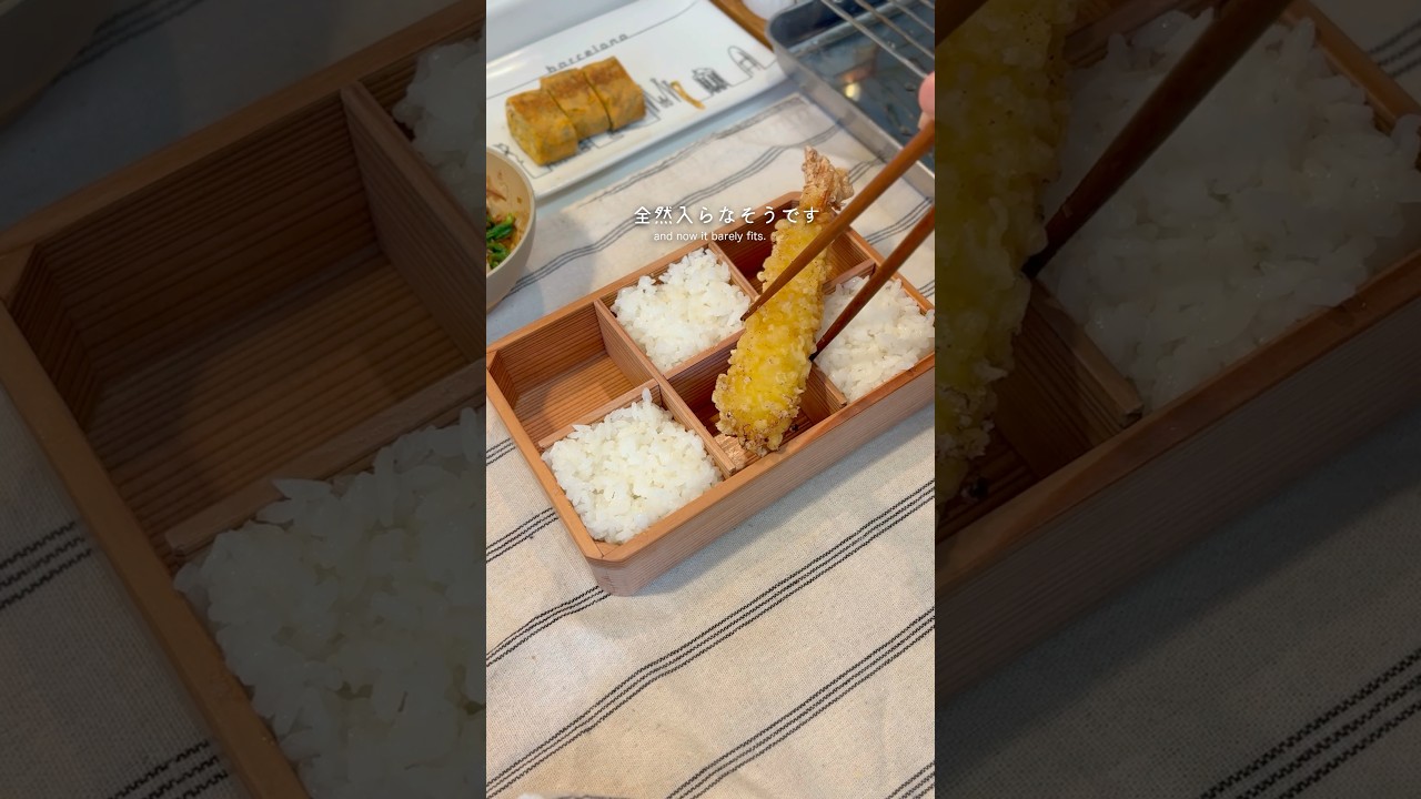 詰め方を間違えた日のお弁当🍤🍱#お弁当 #lunchbox #bento#shorts