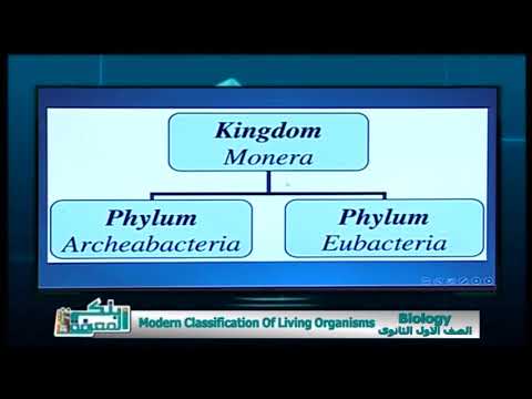 أحياء لغات حلقة 9 ( Modern classification of living organisms ) أ فيوليت خيري 03-04-2019