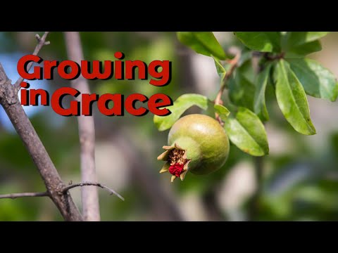 Real Time Faith Lesson 5 (Qtr 1, 2026) - Growing in Grace