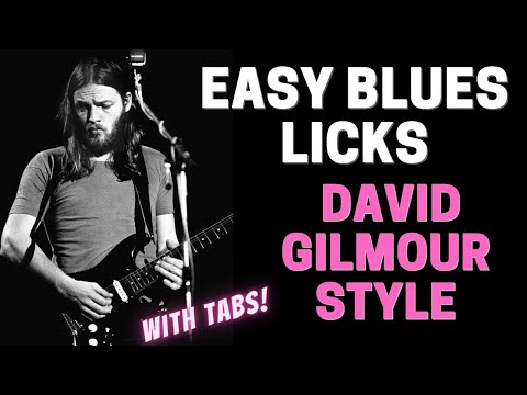 David Gilmour of Pink Floyd EZ and FUN Style Blues Guitar Licks & Devices
