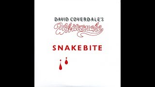 Whitesnake - Aint No Love In the Heart Of The City HQ