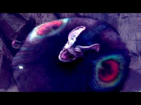 Nightshade Paolumu mission