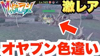 【ポケモンZA】ずっと欲しかったレアな色違いを探しに行ったら大事件！？【DLC「M次元ラッシュ」】