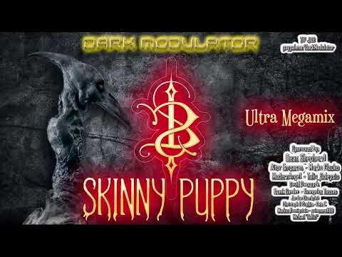 Skinny Puppy Ultra Megamix From DJ DARK MODULATOR