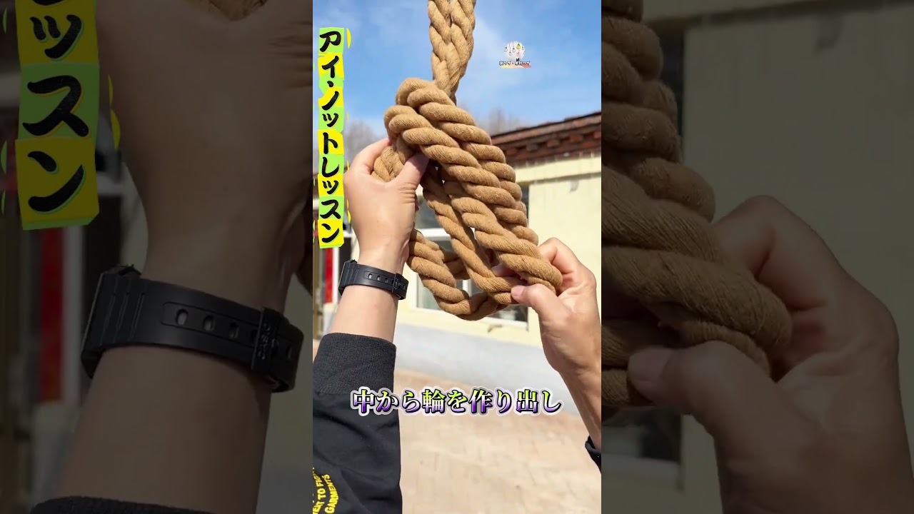 【アイ・ノットレッスン】巻いて輪を作り、引くだけで完成～ #結び方レッスン #今すぐ習得