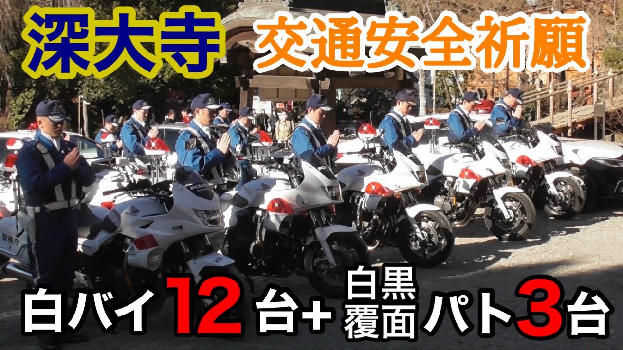 【圧巻】8交機新年交通安全祈願 in 深大寺、白バイ12台+パトカー3台が集結！