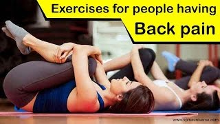 Best Exercises for back pain | Exercise to relief back pain for People