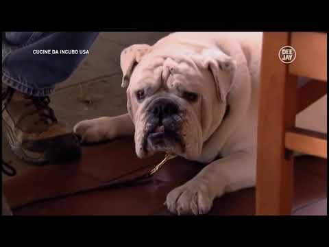 Cucine incubo USA Gordon Ramsay 2x10