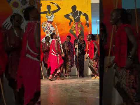 Pomôžme Maikovi a Maurovi – aby mohli začať svoj nový život