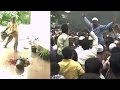 Protests Over Cauvery River Water Dispute Turn Violent