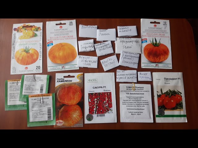 Youtube Video Youtube Video