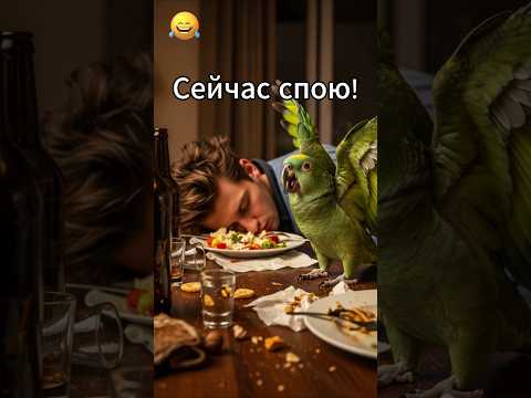 Опять набухался… попугай в шоке 🎅🫣