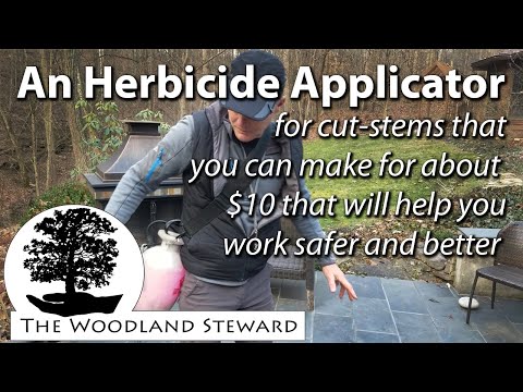 Making an Herbicide Applicator for cut-stems (for ~$10) that will help you work safer and better