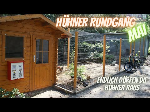 Hühner Rundgang Mai - Neues Hühnergehege - Sitzstangen - Küken - Ende der Stallpflicht