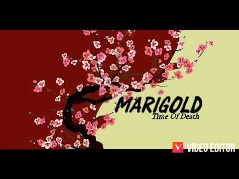 Marigold -Solipsized (Official Audio)