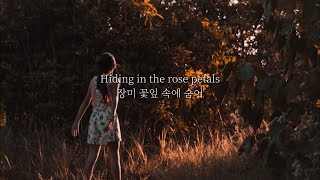 S. Carey - Rose Petals (가사해석)