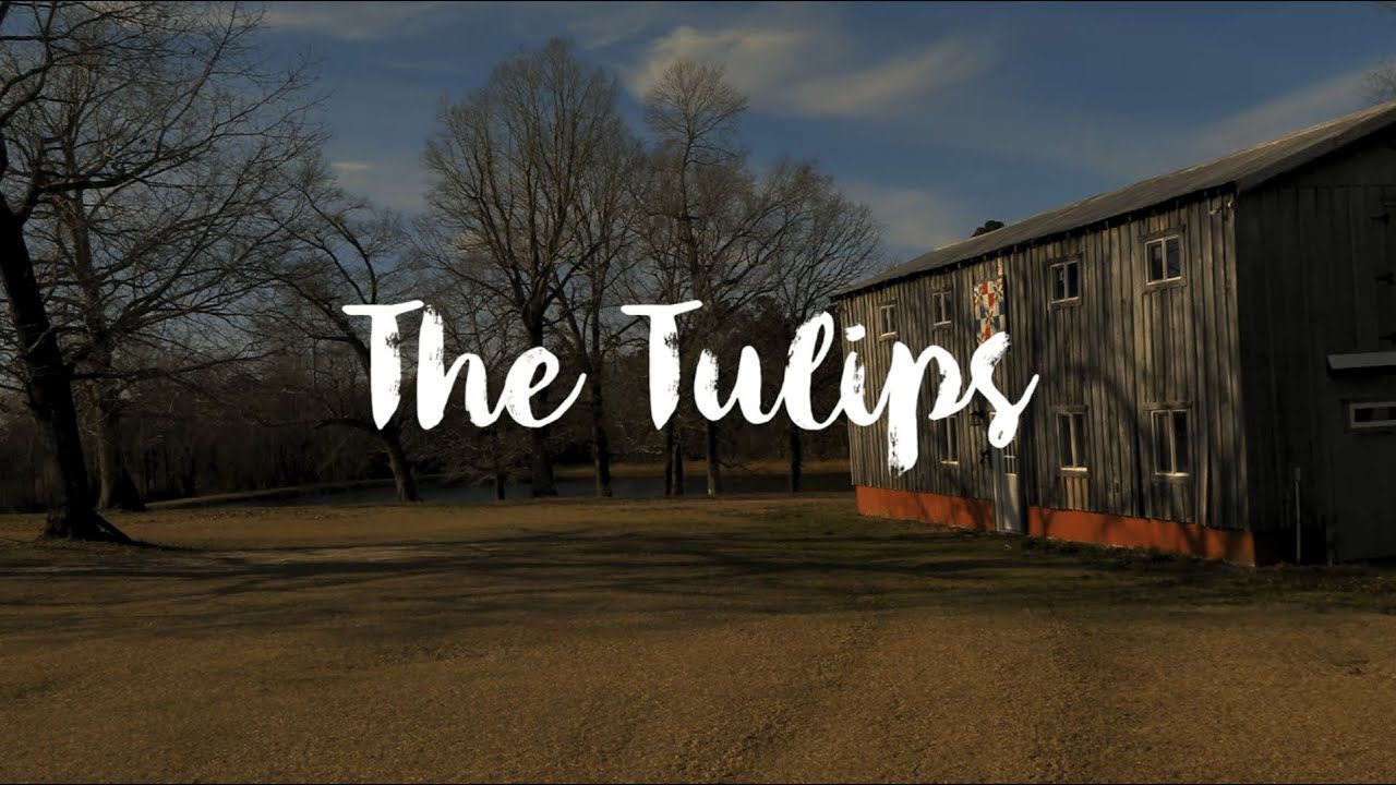 "The Tulips": A Dark Southern Gothic Short Film