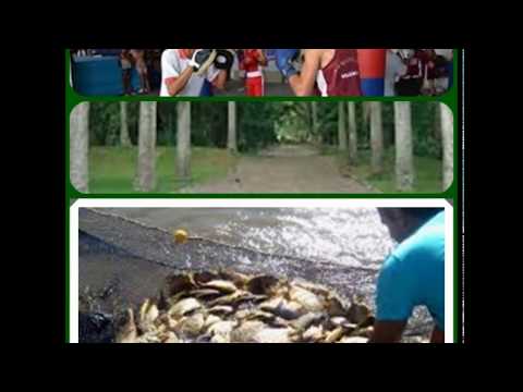 Me mandaste ha decir  - El Carrao de Palmarito