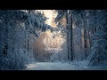 Dorul care aprinde sufletul | Carpathian Season – Iarna Carpaților