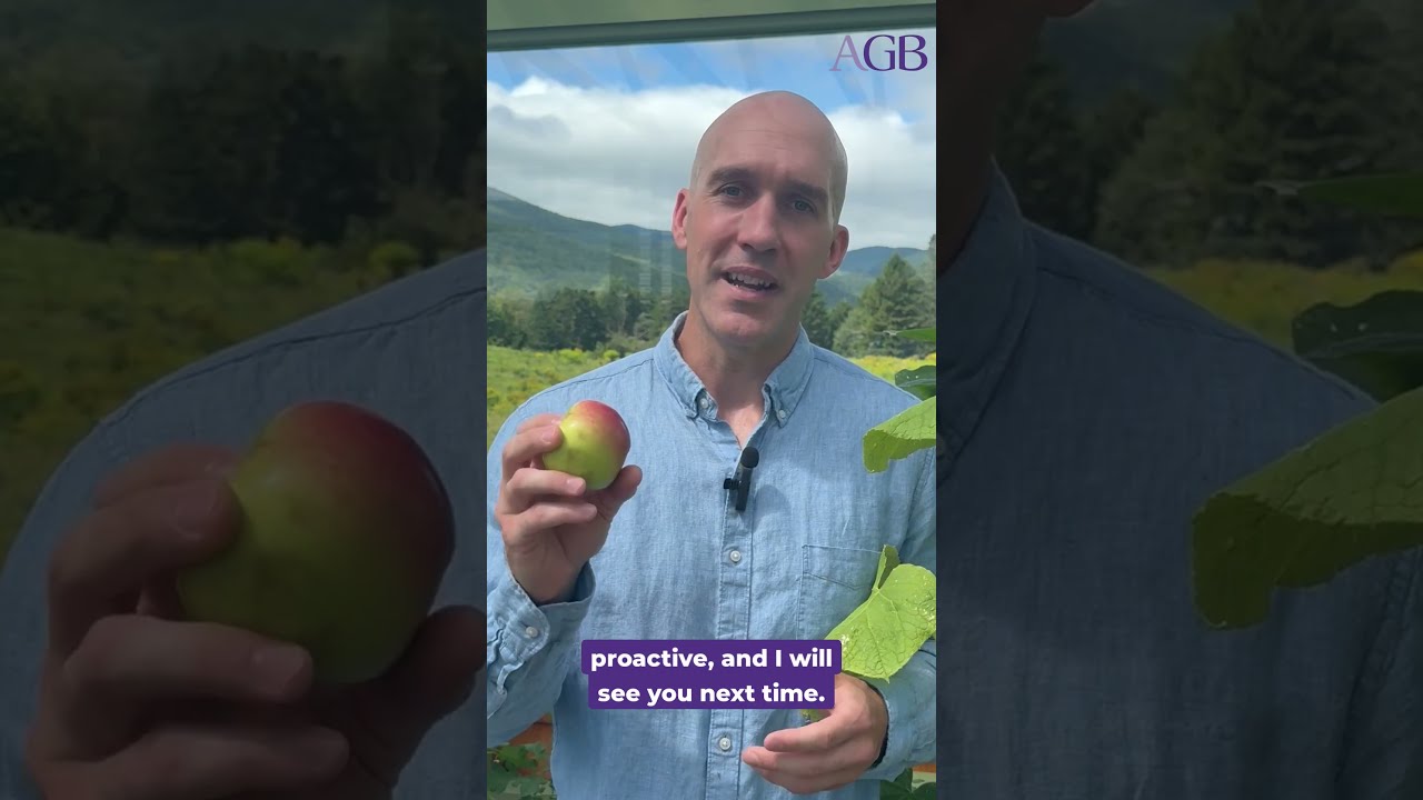 Higher Education Board Assessments: Advice from the Apple Orchard
