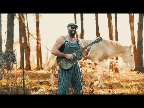 Honeysuckle Official Video, Rev. Peyton's Big Damn Band