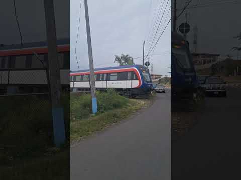 Tren de pasajeos de Cartago a San Jose 18 de julio de 2025