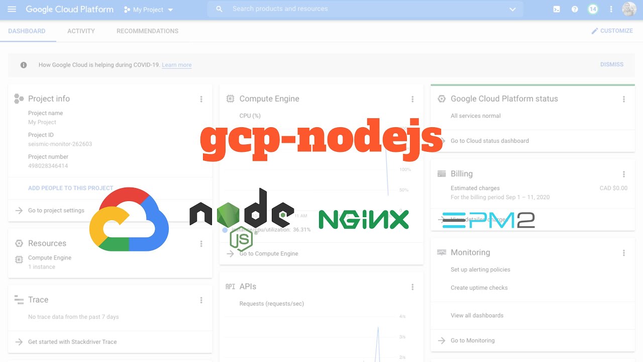 Installing Node.js, NGINX, and PM2 on a Google Cloud Platform VM Instance