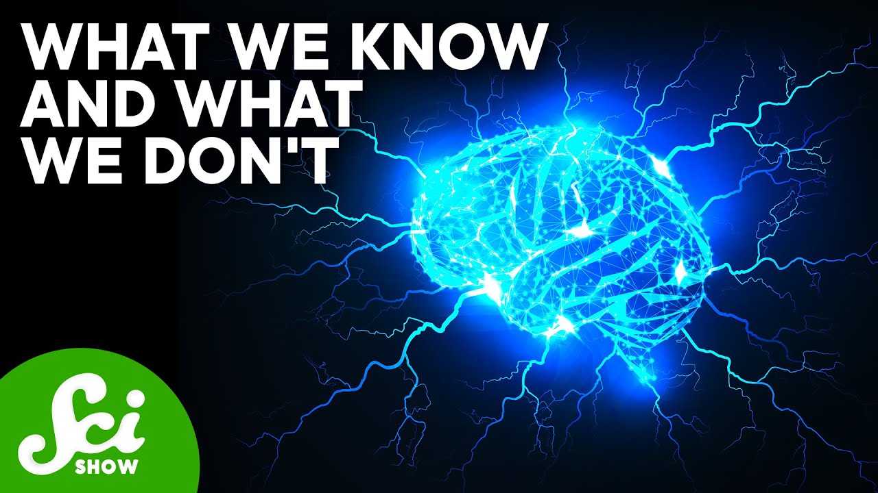 Why Do Antidepressants Cause Brain Zaps? Why Do Antidepressants Cause Brain Zaps?