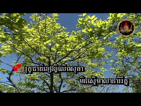 ❖🕊☘️ មាសស្នេហ៍ប្រណីផង (ស៊ីសាមុត+សេរីសុទ្ធា) / Meas Snaeh Proneiy Phong ☘️🕊❖  ដោយ៖ សងវាចា & សុភ័ក្រ
