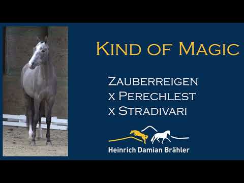 Kind of Magic (Zauberreigen x Perechlest x Stradivari)