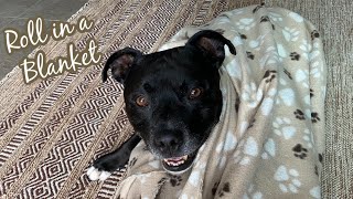Teach Your Dog to Roll Over in a Blanket!