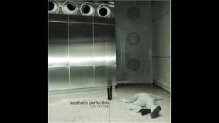 Aesthetic Perfection - Fix