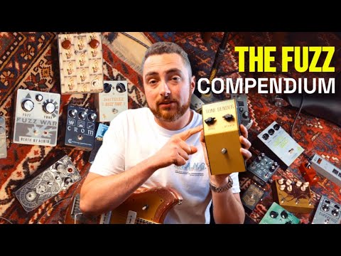 Watch This Before You Buy a Fuzz Pedal (The Fuzz Compendium)
