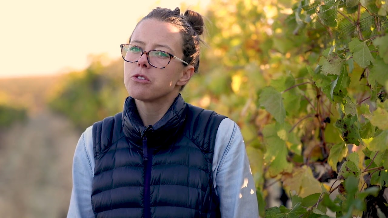 Break into the Wine Industry: Ashley Trout '03