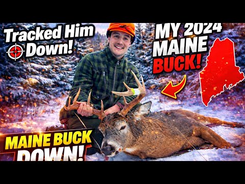 Tracking A Big Maine Buck To His Bed