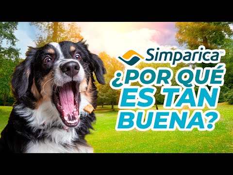 SIMPARICA - ¿Por qué es tan buena?